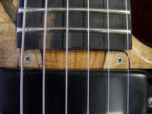 Truss Rod Cover