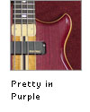 Pretty in Purple