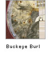 Buckeye Burl