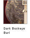 Dark Buckeye Burl