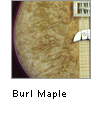 Burl Maple