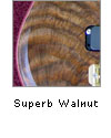 Superb Walnut