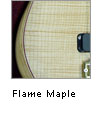 Flame Maple