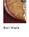 Burl Maple