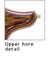 upper horn