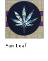 Fan Leaf