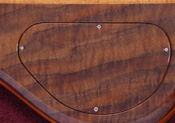 Continuouswood backplate
