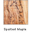 Spalted Maple